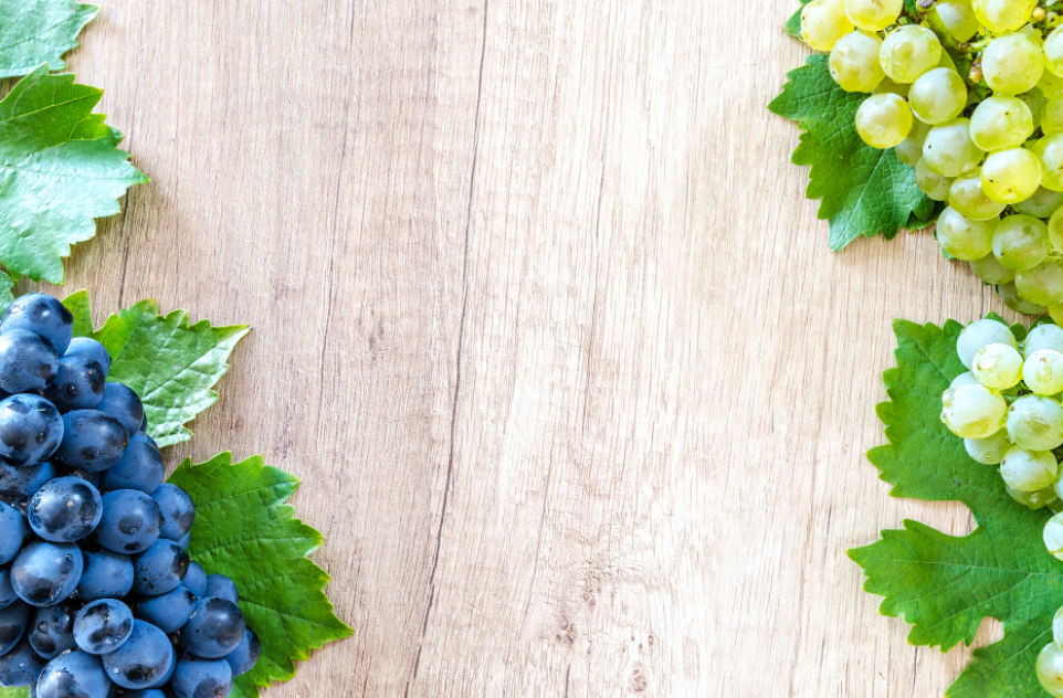 Ce qu’il faut savoir sur les vins du Rhone, en France