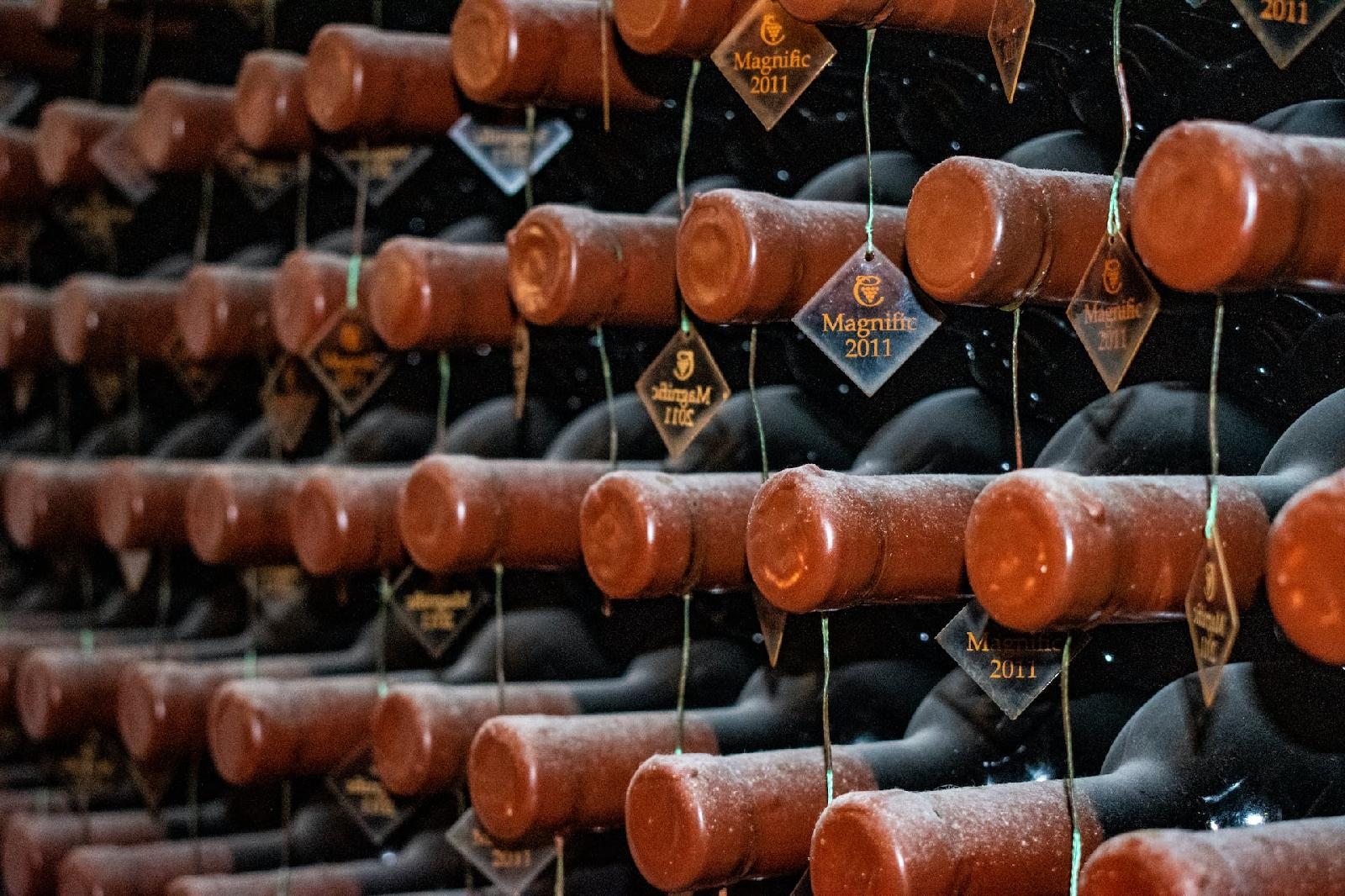 Organiser une soiree vin memorable grace a votre cave : l’essence du terroir